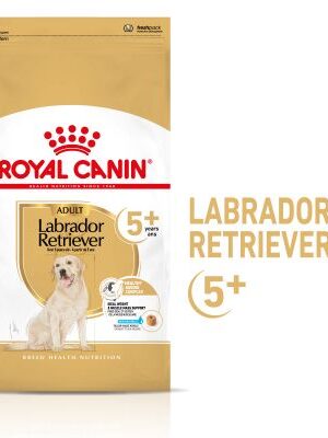 Royal Canin Breed Labrador Retriever Adult 5+ - výhodné balenie: 2 x 12 kg