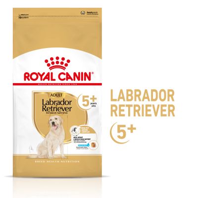 Royal Canin Breed Labrador Retriever Adult 5+ - výhodné balenie: 2 x 12 kg